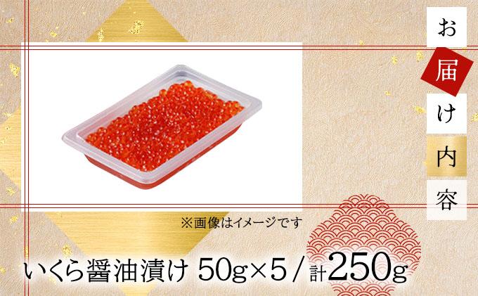 いくら醤油漬け 250g（50g×5）【順次発送】 いくら 海鮮 北海道 イクラ 冷凍 醤油漬け 海産物 045-a008 【発送時期】順次発送