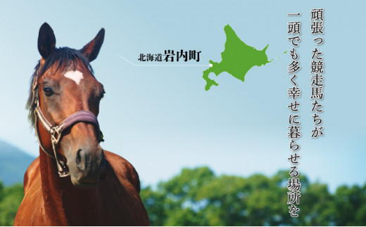 【引退競走馬 余生支援】北海道 岩内町 ホーストラスト北海道支援 100万円コース 引退馬 F21H-561 100万円