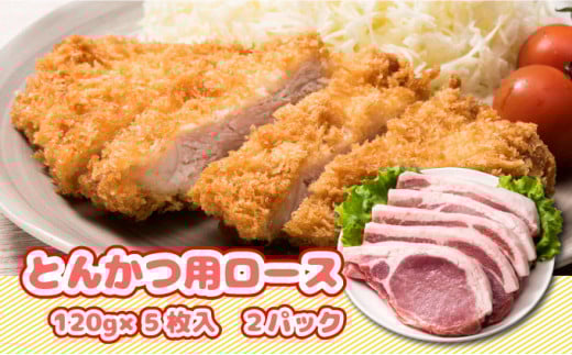 北海道産豚肉・とんかつ用ロース1.2kg（120g×10枚） F21H-429