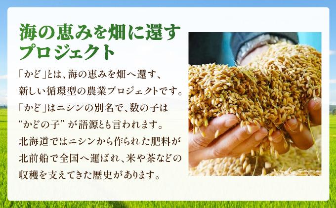【北海道産お米】ななつぼし5kg　（カド肥料使用）