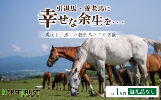 【引退競走馬 余生支援】北海道 岩内町 ホーストラスト北海道支援 1万円コース 引退馬 F21H-556 1万円