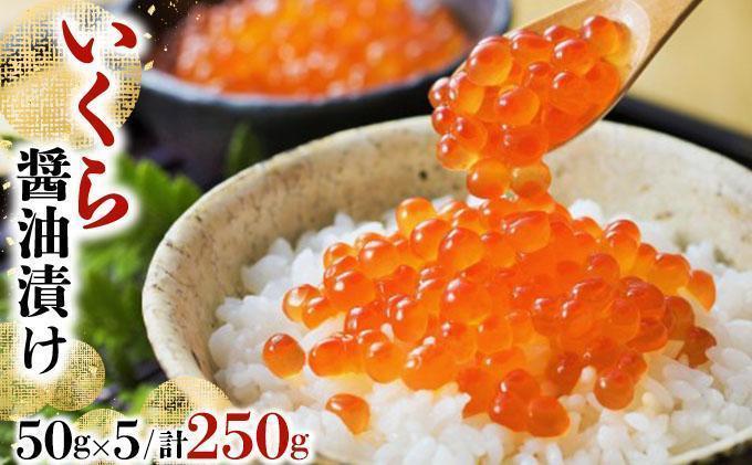いくら醤油漬け 250g（50g×5）【2026年1月発送】いくら 海鮮 北海道 イクラ 冷凍 醤油漬け 海産物 045-a008-01 【発送時期】2026/1/1~1/26
