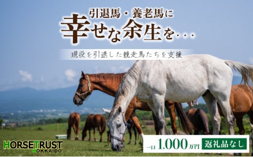 【引退競走馬 余生支援】北海道 岩内町 ホーストラスト北海道支援 1000万円コース 引退馬 F21H-411 1000万円