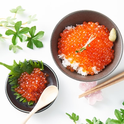 北海道とまり産　いくら醤油漬け　250g×2パック【配送不可地域：離島】