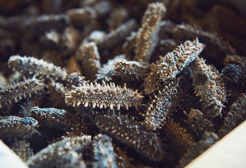 北海道産岩宇なまこ　等外　干なまこ５００g（３g～１９g、キズ・白濁有）