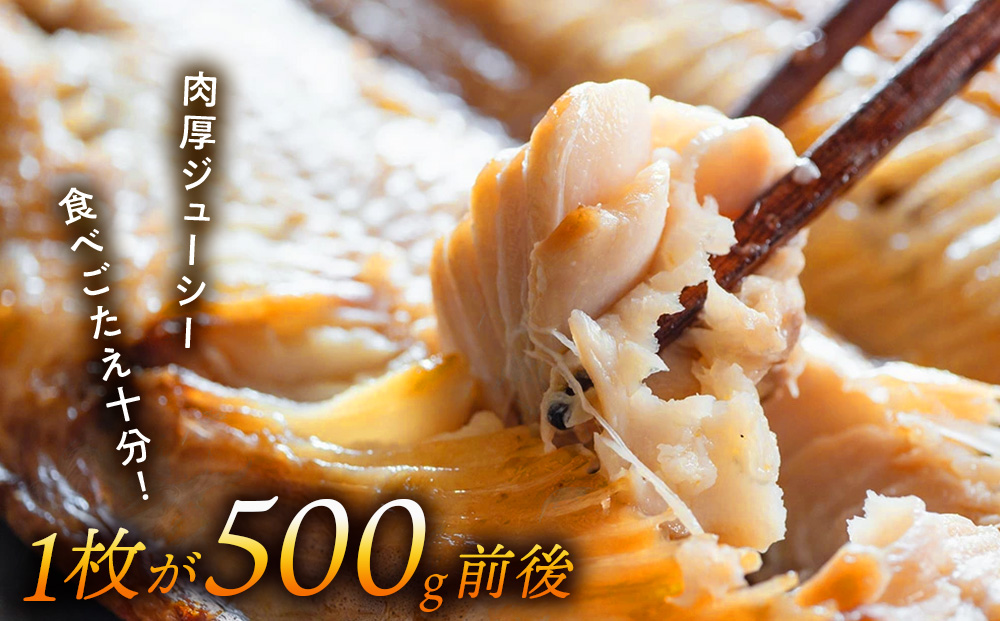 とにかく大きい開きほっけ　5枚＜大川商店＞