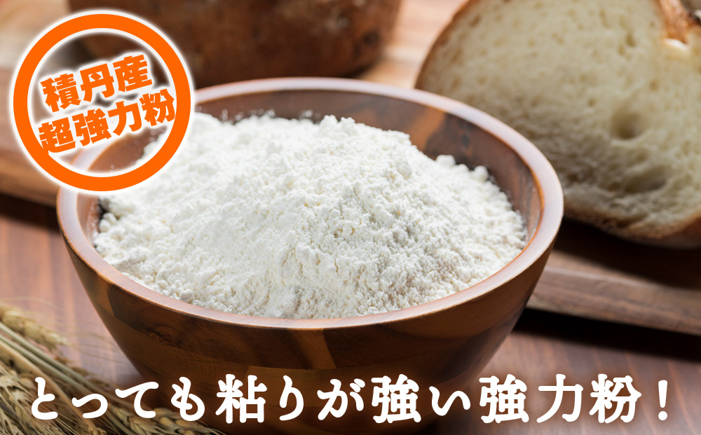 12ヵ月定期便 小麦粉（ゆめちから強力粉） 1kg×3袋　パン・お菓子つくり