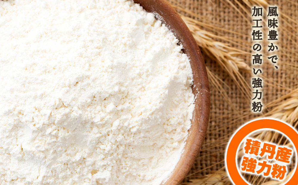 12ヵ月定期便 竹内さんちの小麦粉 強力粉【北海道 春よ恋 2kg×3 袋 保存に便利なチャック付袋！】 小分け お菓子 パン