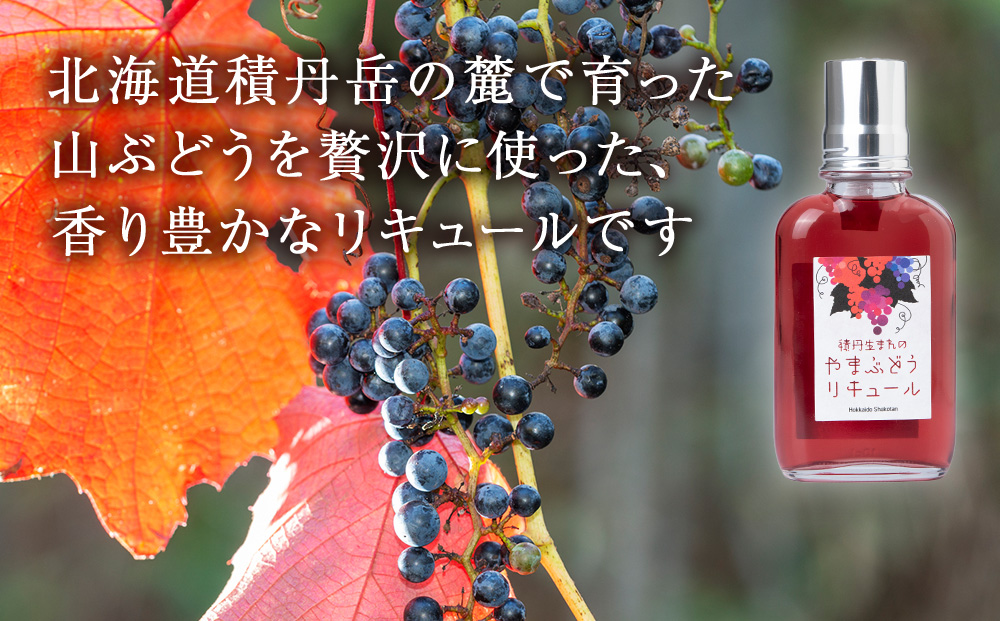 リキュール 山ぶどう お酒 ジン 積丹町