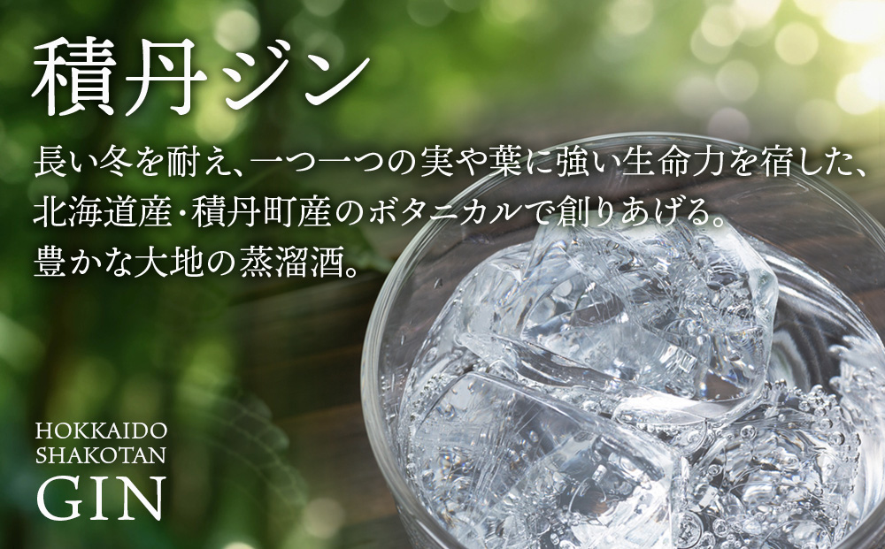 ジン 北海道 積丹 酒 アルコール 火の帆 HONOHO 100ml 4本