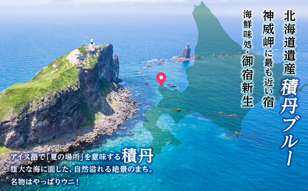 積丹 新生オリジナルキーホルダー（神威岬×アイヌ柄　黄茶）（小）