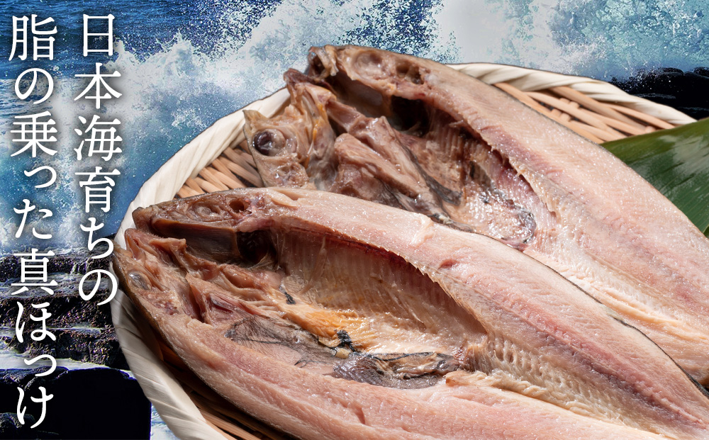 開きほっけ5枚セット＜大川商店＞