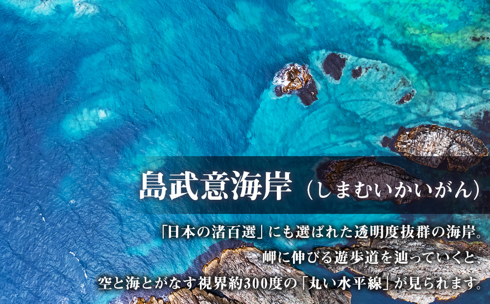 北海道 積丹町☆応援寄付金☆【返礼品なし】5,000円