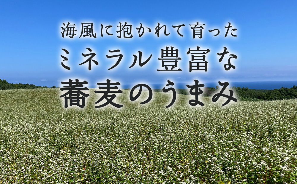 【積丹町そば】4人前≪麺260g×つゆ120g×2セット≫　年越しそば 国産 積丹産 蕎麦 冷凍（SN011）