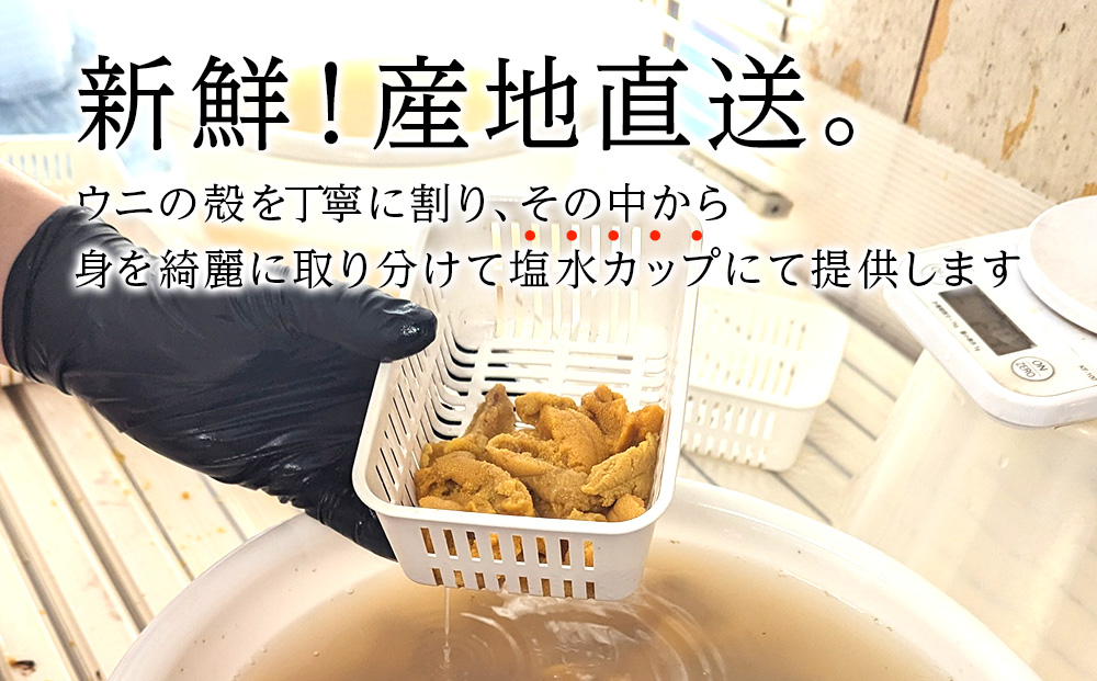 【期間限定】〈2026年発送予約〉美国産雲丹40g ミニウニ丼サイズ 北海道 ウニ うに
