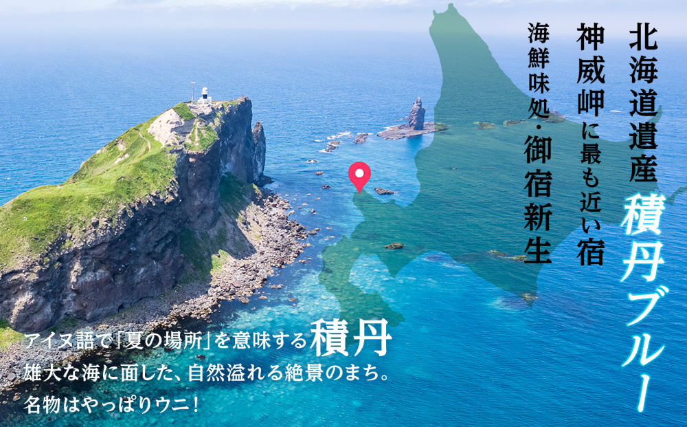 積丹 新生オリジナルマグカップ☆Kamui Syakotan　1個