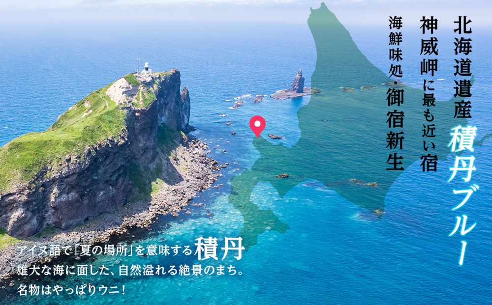 積丹　新生オリジナルマグカップ☆一本釣り本マグロ（英語）　1個