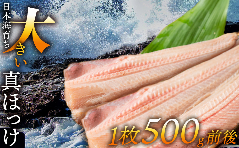 とにかく大きい開きほっけ　5枚＜大川商店＞