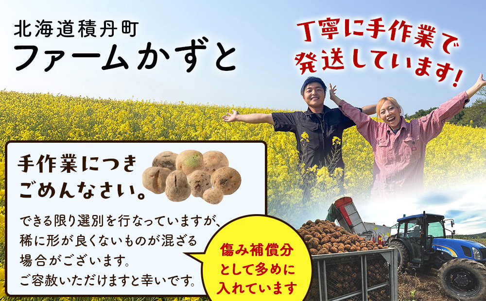 【2026年 秋 発送】積丹町産 きたあかり 5kg 数量限定 期間限定 じゃがいも 北海道 ジャガイモ 芋 いも