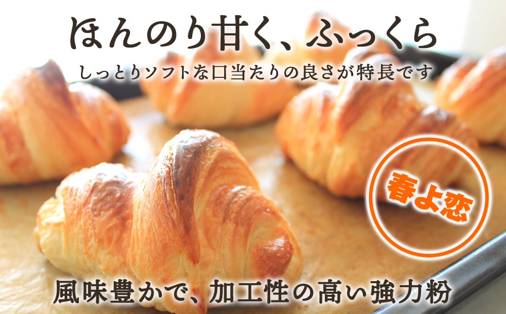 竹内さんちの小麦粉食べ比べ！【春よ恋・ゆめちから 各2㎏×各2袋】準強力粉 強力粉 保存に便利なチャック付袋！