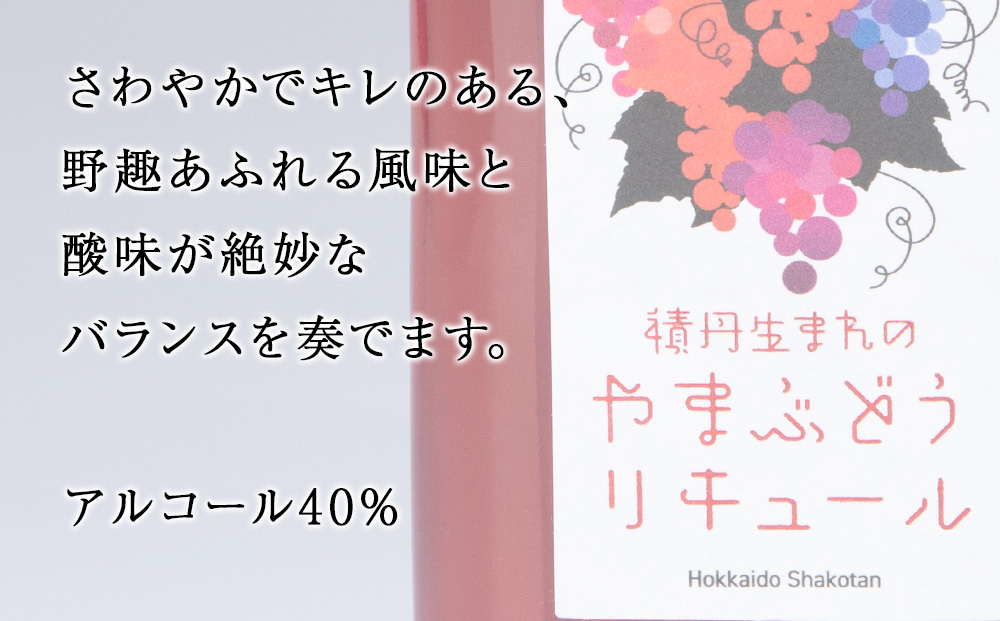 リキュール 山ぶどう お酒 ジン 積丹町