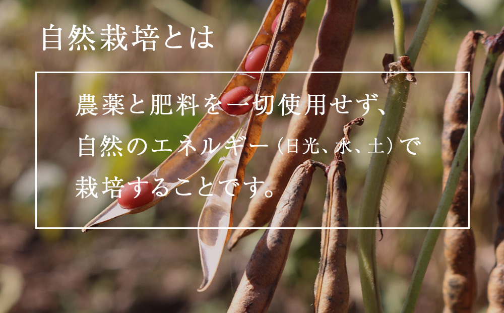 小豆茶 無農薬 積丹町産 ノンカフェイン 2袋