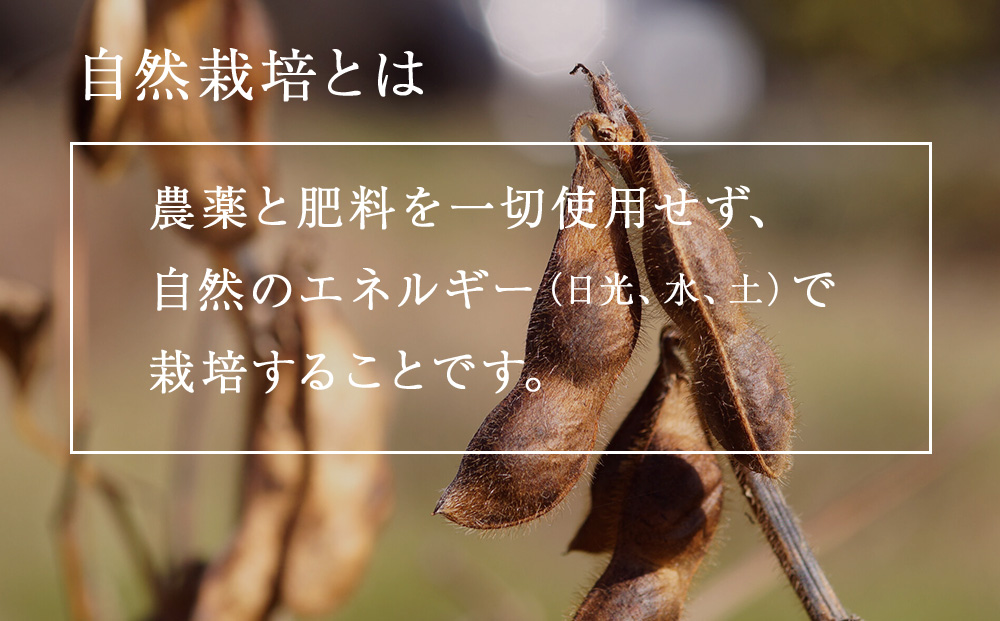 黒豆茶 無農薬 積丹町産 ノンカフェイン 5袋