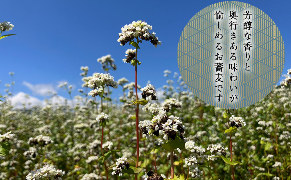 【積丹町そば】4人前≪麺260g×つゆ120g×2セット≫　年越しそば 国産 積丹産 蕎麦 冷凍（SN011）