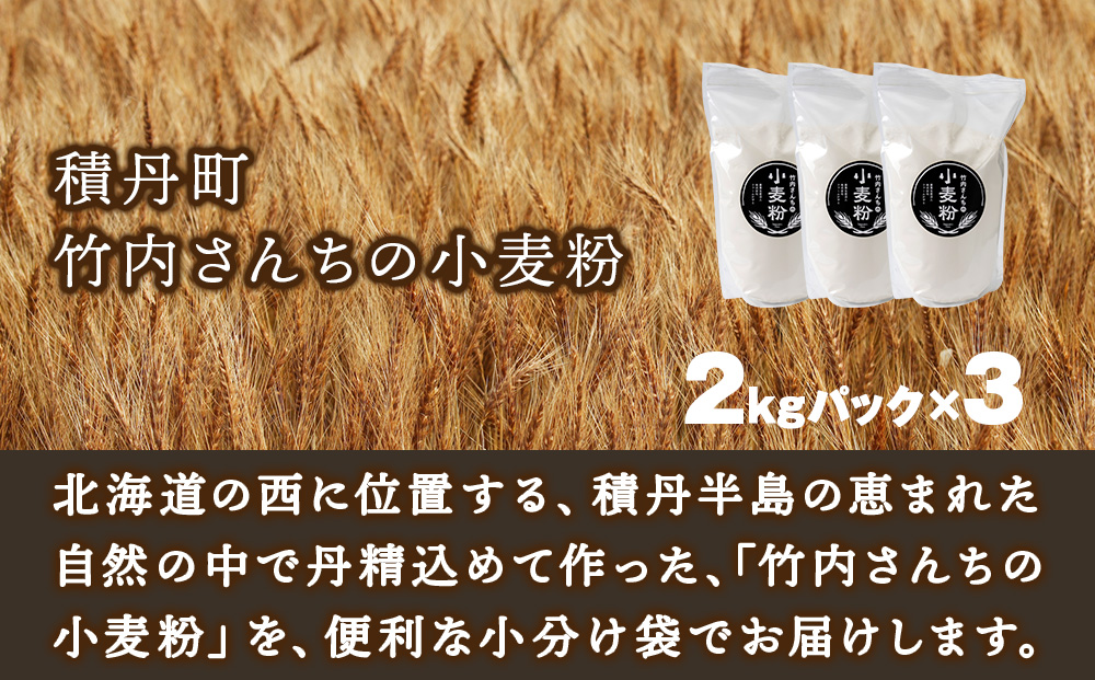 竹内さんちの小麦粉【北海道　ゆめちから（２kg×３袋）保存に便利なチャック付袋！】6kg お菓子 パン