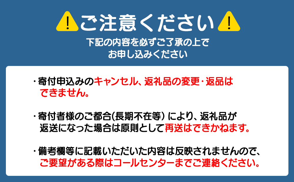 竹内さんちの小麦粉【北海道 春よ恋（２kg×２袋）保存に便利なチャック付袋！】小麦粉 2kg 4kg 春よ恋 小分け お菓子 パン