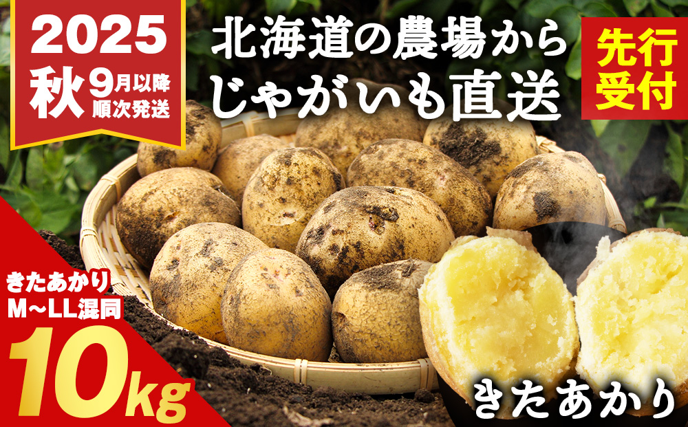 じゃがいも 10kg 北海道 きたあかり ジャガイモ 芋 いも