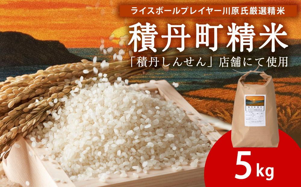 【2026年4月発送】積丹精米のお米（5kg）ななつぼし