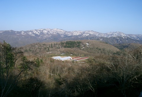 【ANA】日本の米育ち平田牧場三元豚切落し １kg