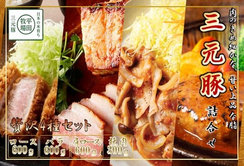 [ANA]日本の米育ち平田牧場三元豚ブロック・挽肉詰合せ(4種)
