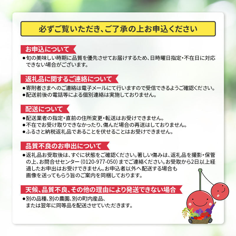 2024年8月発送 北海道 仁木町産 いちご「 天使のいちご (登録商標)AE(エンジェルエイト)」(M30粒) 果物類 果物 くだもの 苺 イチゴ フルーツ [今野農園]