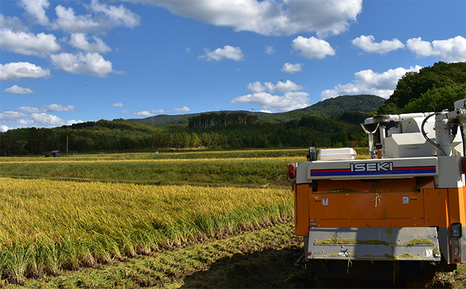 【2025年産米】銀山米研究会の無洗米＜ゆめぴりか＞10kg　ご飯 ライス 白米 ブランド米 おにぎり お弁当 北海道産 産地直送 ご飯 時短 朝ごはん 夜ごはん 昼ごはん [株式会社 松原米穀]