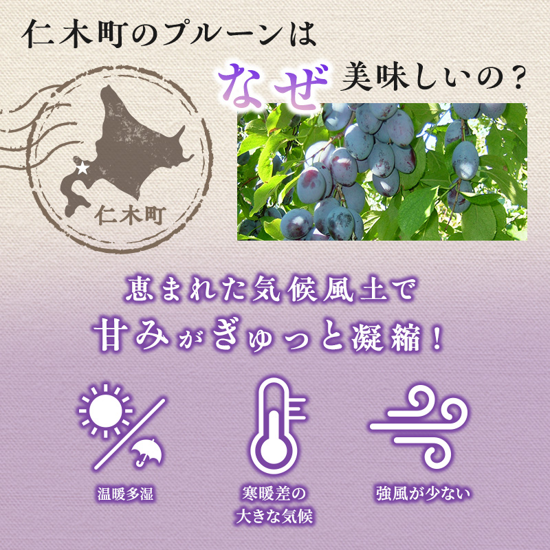 [先行受付] 北海道 仁木町産 季節のプルーン 1.6kg（400g×4パック）プルーン 果物 果物類 くだもの フルーツ [JA新おたる]