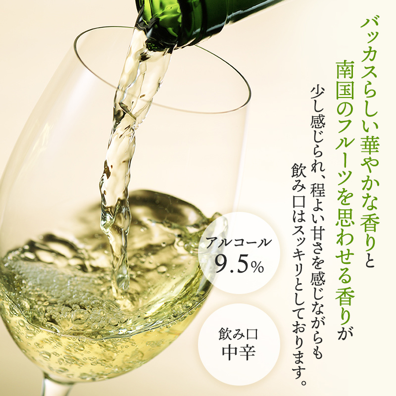 NIKI Hills Winery 白ワイン【 NEIRO 2024 】 750ml ワイン 洋酒 お酒 アルコール ブドウ ぶどう 中辛[株式会社NIKI Hillsヴィレッジ]