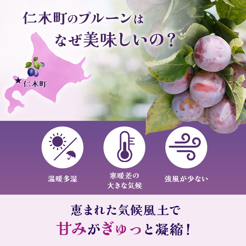[先行受付] 【9月後半～10月発送】北海道 仁木町産 おすすめプルーン1.6kg（400g×4パック） 果物類 果物 くだものフルーツ 果物詰合せ プルーン [和田農園]