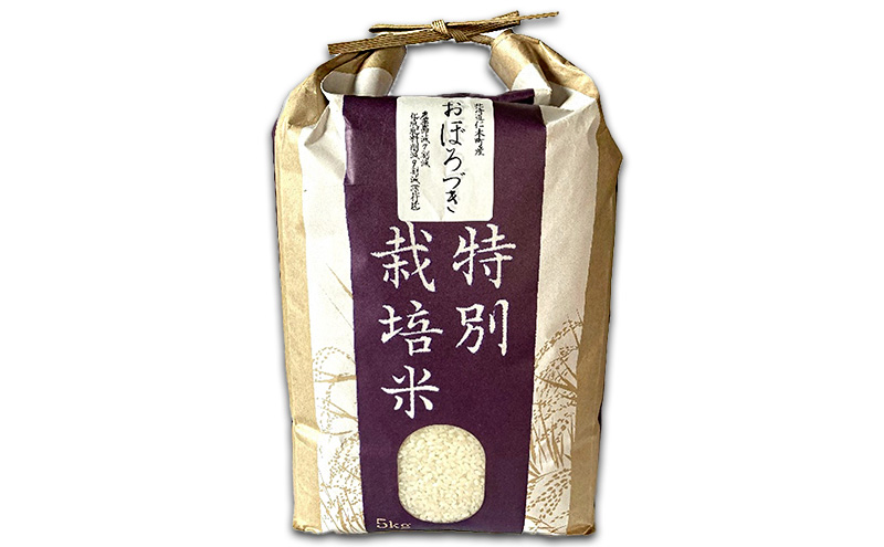 北海道 仁木町産 特別栽培米 おぼろづき 5kg 紅果園の産直米 お米 白米 ご飯 ブランド米 銘柄米 精米 おにぎり お弁当 和食 産地直送 国産 食卓 [峠のふもと紅果園]