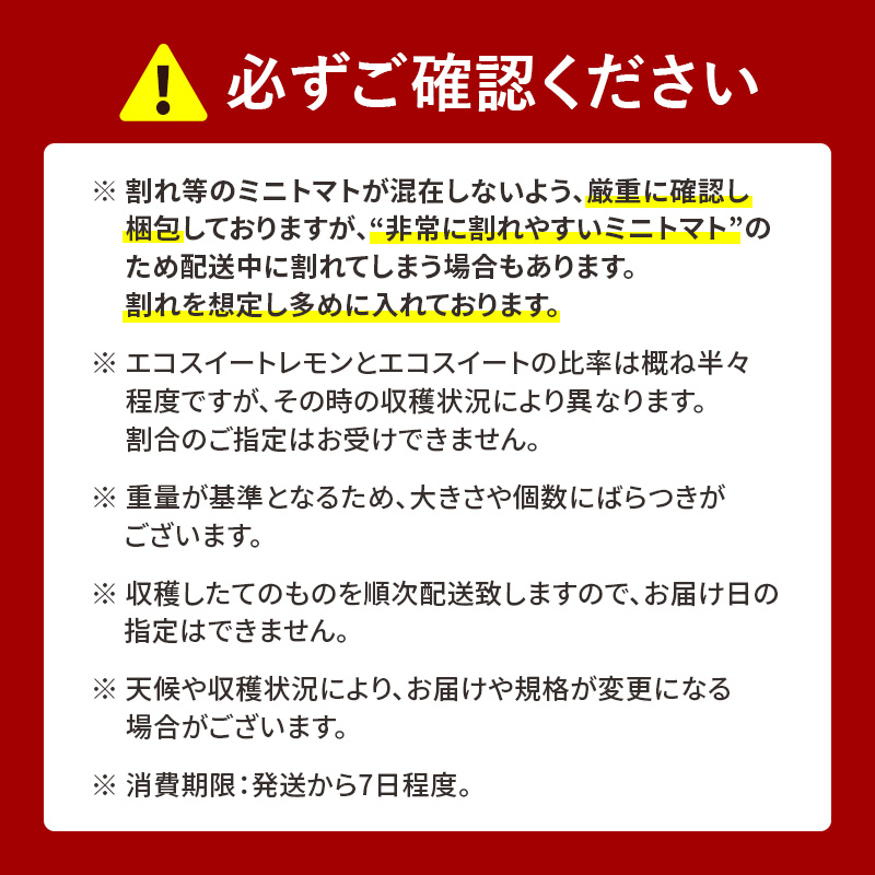 北海道 仁木町産 高糖度 ミニトマト 【エコスイートレモン(新品種)&エコスイートのMIX】1.2kg×4箱 [栽培期間中 農薬・化学肥料不使用、除草剤不使用] サイズ混載 2025年産 [Farm Watanabe]