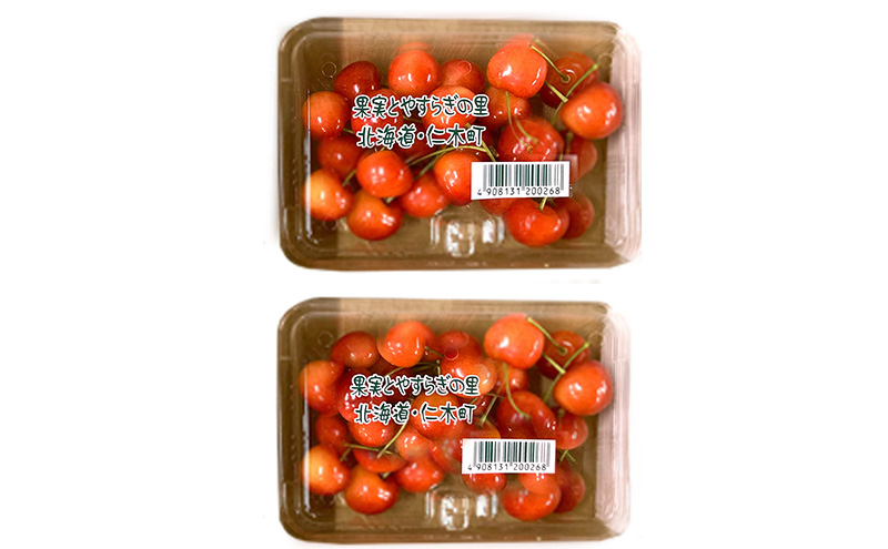 北海道 仁木町産 さくらんぼ【 佐藤錦 】200g×2パック バラ詰め Lサイズ　食後 デザート 旬の果物 サクランボ チェリー フルーツ 果物 果物類 仁木町 仁木 [峠のふもと紅果園]
