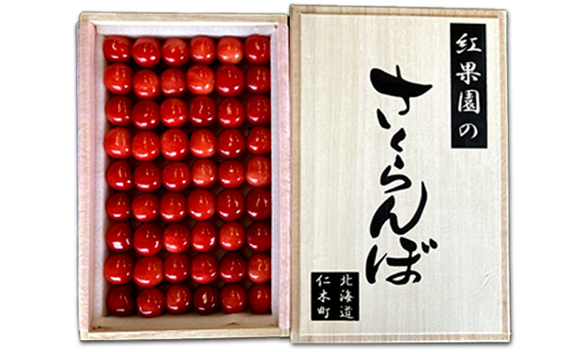北海道 仁木町産 さくらんぼ【 佐藤錦 】一段並べ 桐箱入り 500g 2Lサイズ以上　食後 デザート 旬の果物 サクランボ チェリー フルーツ 果物 果物類 ギフト 贈答品 仁木町 仁木 [峠のふもと紅果園]