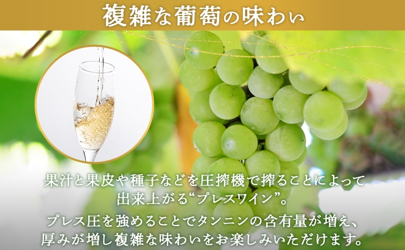 北海道産 スパークリング ワイン 750ml 1本 KPワイン Tテロワール ぶどう ナイアガラ 葡萄 ブドウ 白ワイン 辛口 酒 お酒 贈答 贈り物 お祝い ギフト 記念日 送料無料