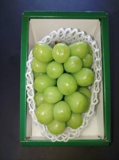 [先行受付] 北海道 仁木産 シャインマスカット 750g前後  果物 ぶどう フルーツ おやつ デザート 食後 有機肥料 農薬低減 国産 直送 産地直送 食べ物 食品 北海道産 [株式会社　小野農園]