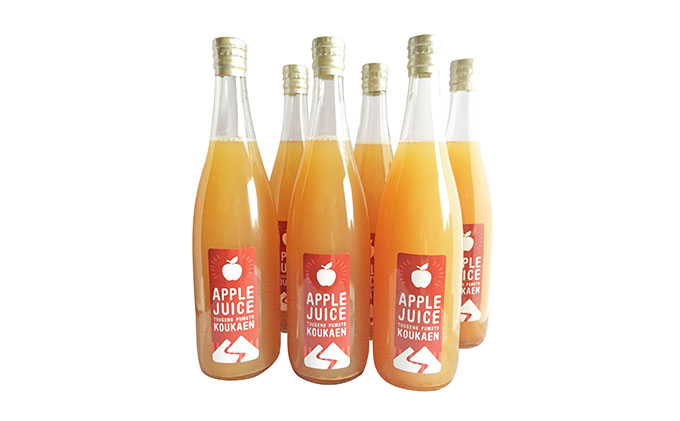 峠のふもと紅果園の完熟！リンゴジュース710ml×6本セット 飲料類 果汁飲料 りんご 林檎 ジュース [峠のふもと紅果園]