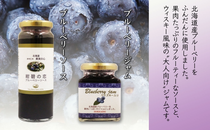 北海道産 ブルーベリーソース 200g 1本 ブルーベリージャム 180g 2個セット ジャム瓶 ブルーベリー 詰め合わせ 果物 自然農園 お取り寄せ ギフト 産地直送 のし 仁木町