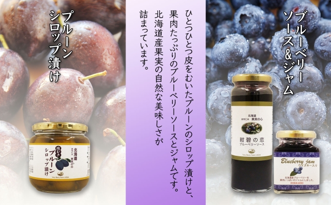 無地熨斗 北海道産 プルーンシロップ漬け ブルーベリーソース ブルーベリージャム 計3個 セット 詰め合わせ ギフト 熨斗付き フルーツ 果物 コンポート お取り寄せ 産地直送 のし