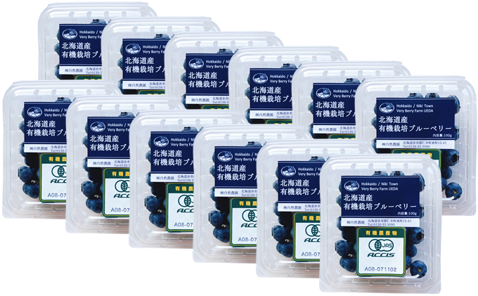 ［先行受付］【有機JAS認証】北海道仁木町産オーガニック生ブルーベリー 100g×12パック 計1.2kg 果物 フルーツ 有機栽培 安心安全 樹上完熟 手摘み [株式会社 自然農園]