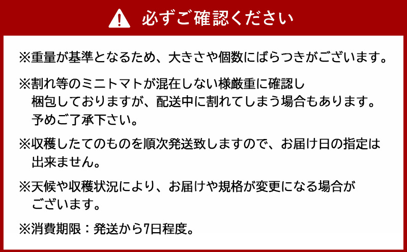[先行受付/2025年産][栽培期間中 農薬・化学肥料不使用] 北海道 仁木町産 ミニトマト エコスイート 1.2kg×8箱 サイズ混載 トマト野菜 やさい  [Farm Watanabe]